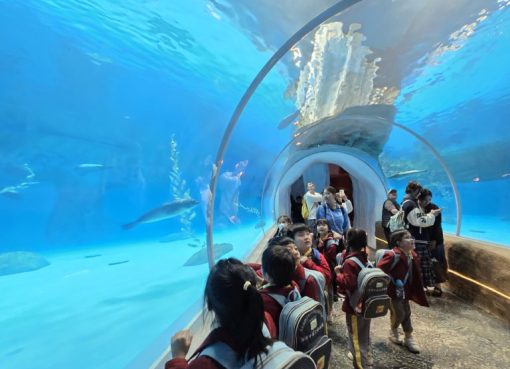 20250403_131730-768x576