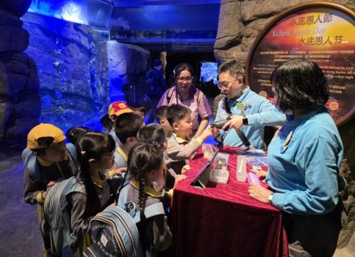 20250403_145145-768x576