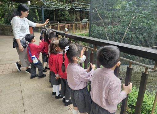 20250408_102110-768x576