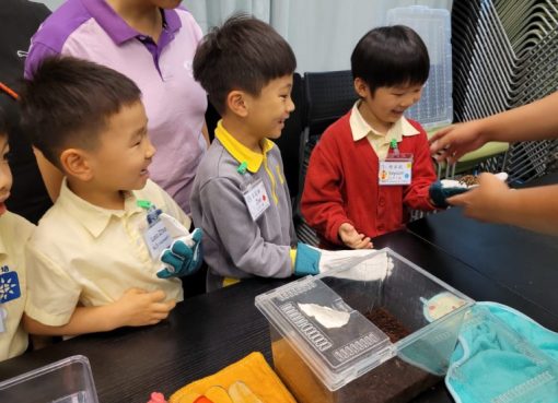 20250429_112542-768x576