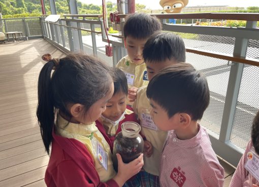 3.3望_原來廚餘可以變成有機肥料，幫助農作物生長