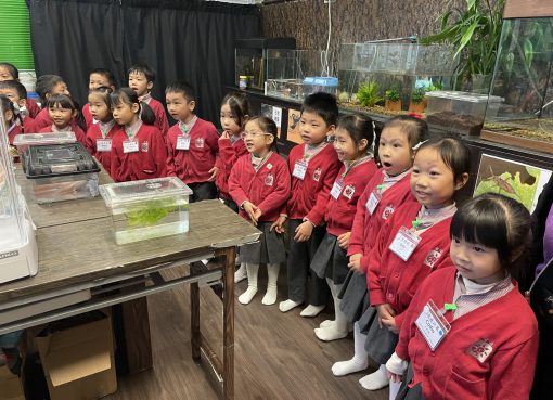 3信1_我們參觀螢火蟲教育展廳，細心聆聽導賞員介紹不同動物的特性