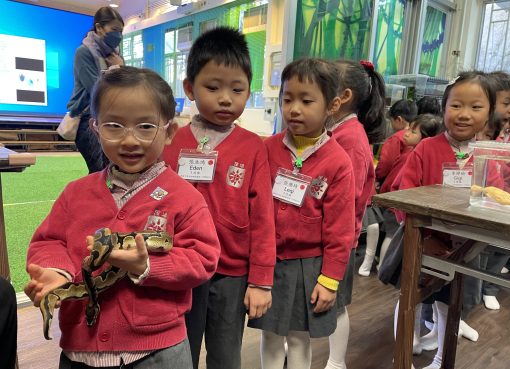 3信2_原來蛇的肚腹是滑滑的