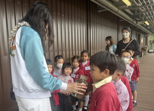 3信班 3_我們運用觸覺和嗅覺探索廚餘轉化而成的有機肥料