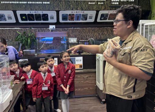 3愛班_2.我們細心聆聽導賞員介紹飛鼠的生活習性