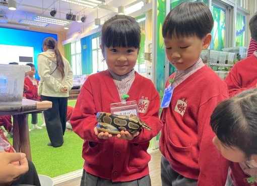 3愛班_3.我們還可以觸摸到蛇的身體