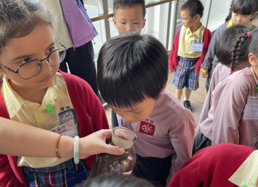 3愛班_3原來廚餘可以轉化成有機肥料