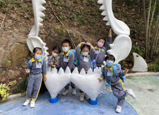 IMG_6117photo-768x576