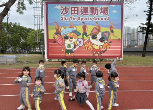 IMG_8759photo-768x576