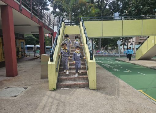 全日3望_4我們利用行人天橋橫過馬路-768x576